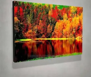 Decorative Wall Canvas Frame