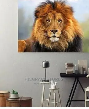 Decorative Wall Canvas Frame
