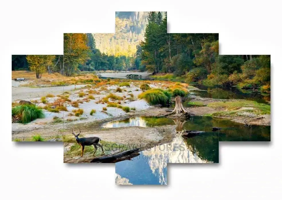 Decorative Wall Canvas Frame