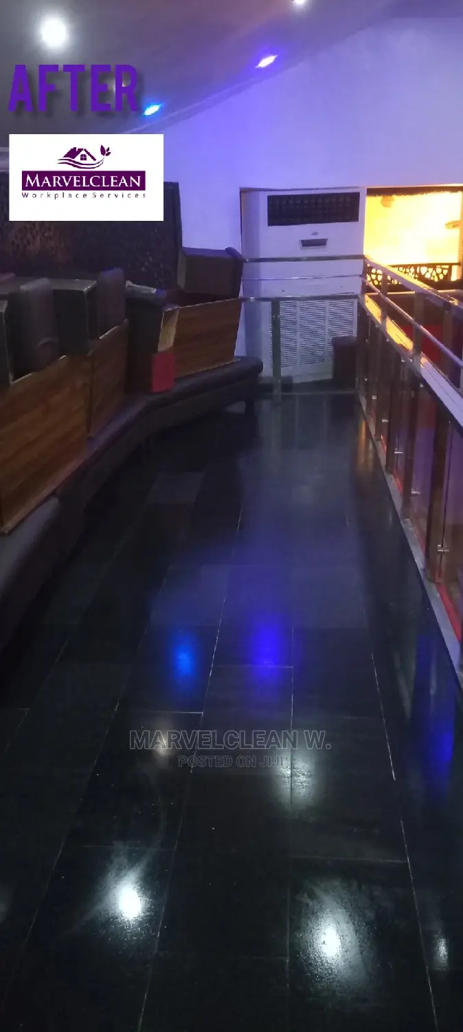 Professional Cleaners