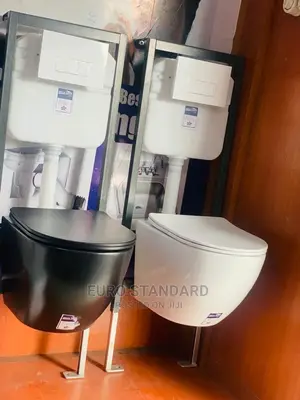 Conceal Hanging Water Closet Set