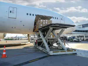 Cargo Shipping and Clearing Agent