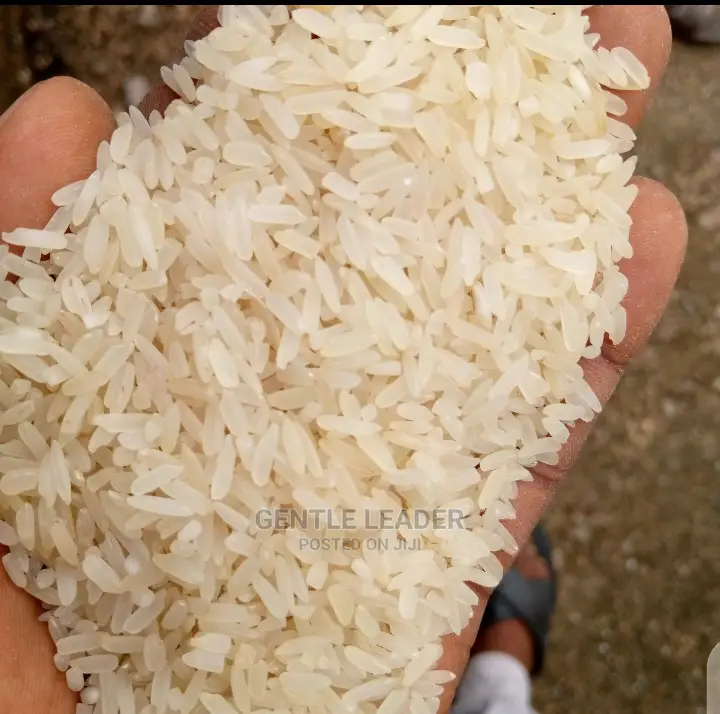 Stone Free Rice