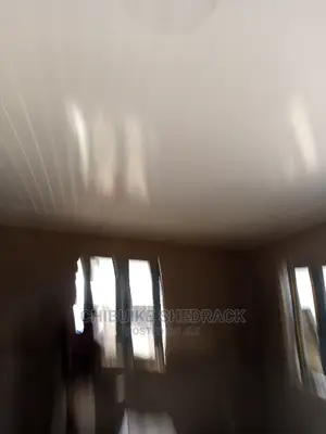 High Quality Pvc Ceilings
