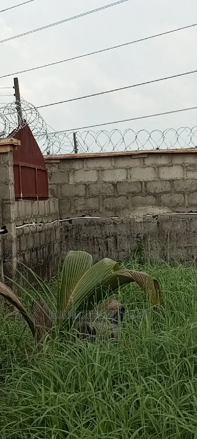 American Concertina Wire; Razor Type