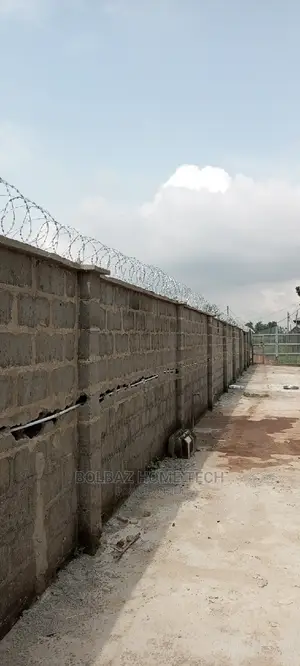 American Concertina Wire; Razor Type