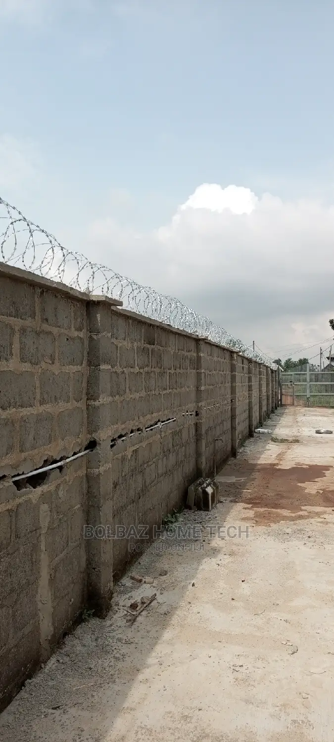 American Concertina Wire; Razor Type