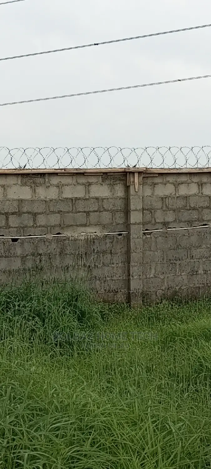 American Concertina Wire; Razor Type