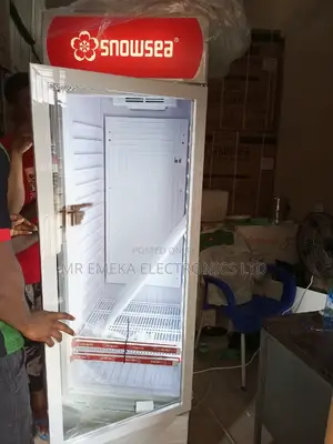Snow Sea Show Case 500L