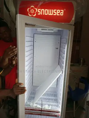 Snow Sea Show Case 500L