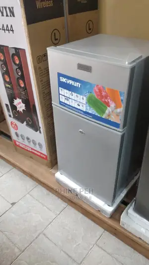 Skyrun Double Door Fridge