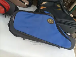 Ibru Hard Leather Sax Bags