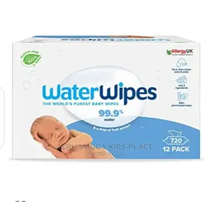 Water Wipes 12 Packs ( 720 )