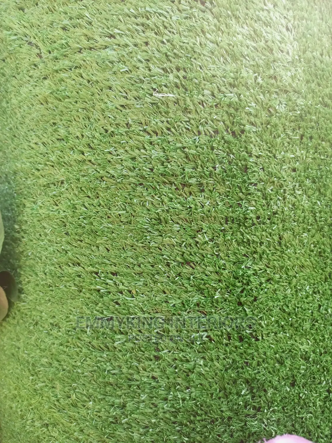 Quality Grass Carpet