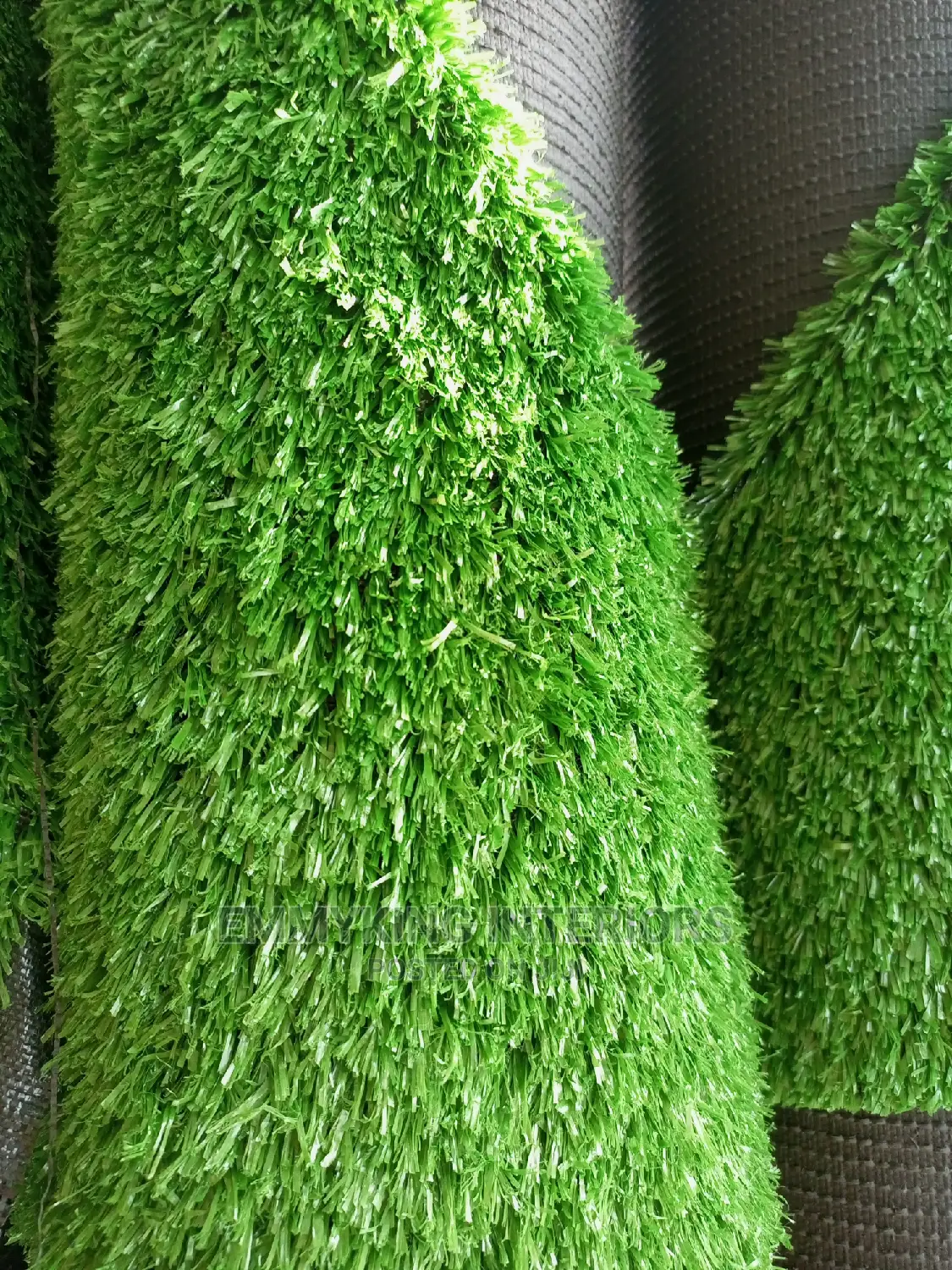 Turkey Carpet Grass