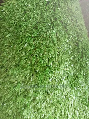 Turkey Carpet Grass