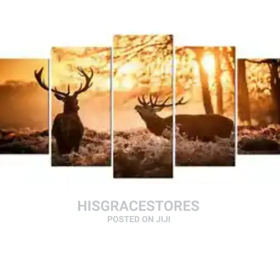 Decorative Wall Canvas Frame