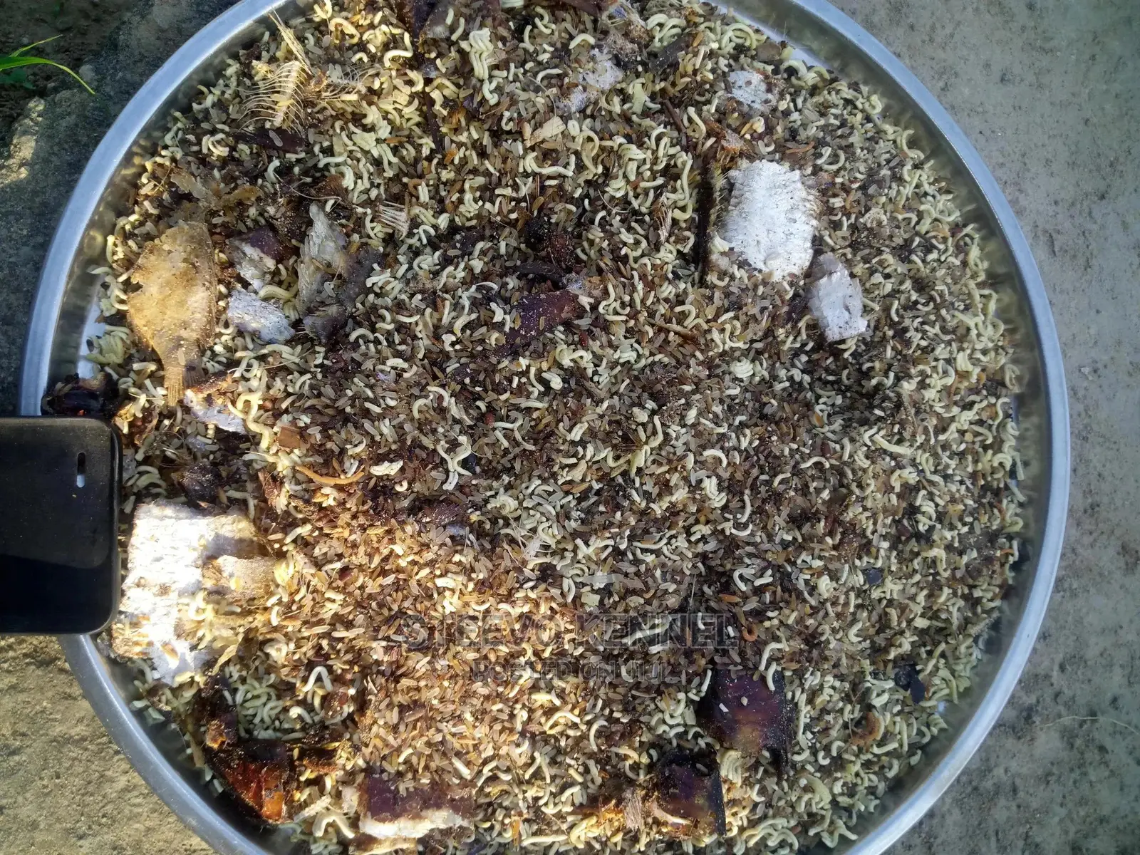 Dry Dog Feeds