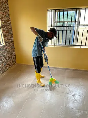 Post Cleaning Services Plus Free