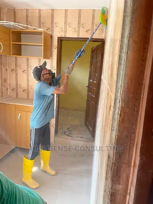 Cleaning Expert You Can Trust Plus Free Fumigation