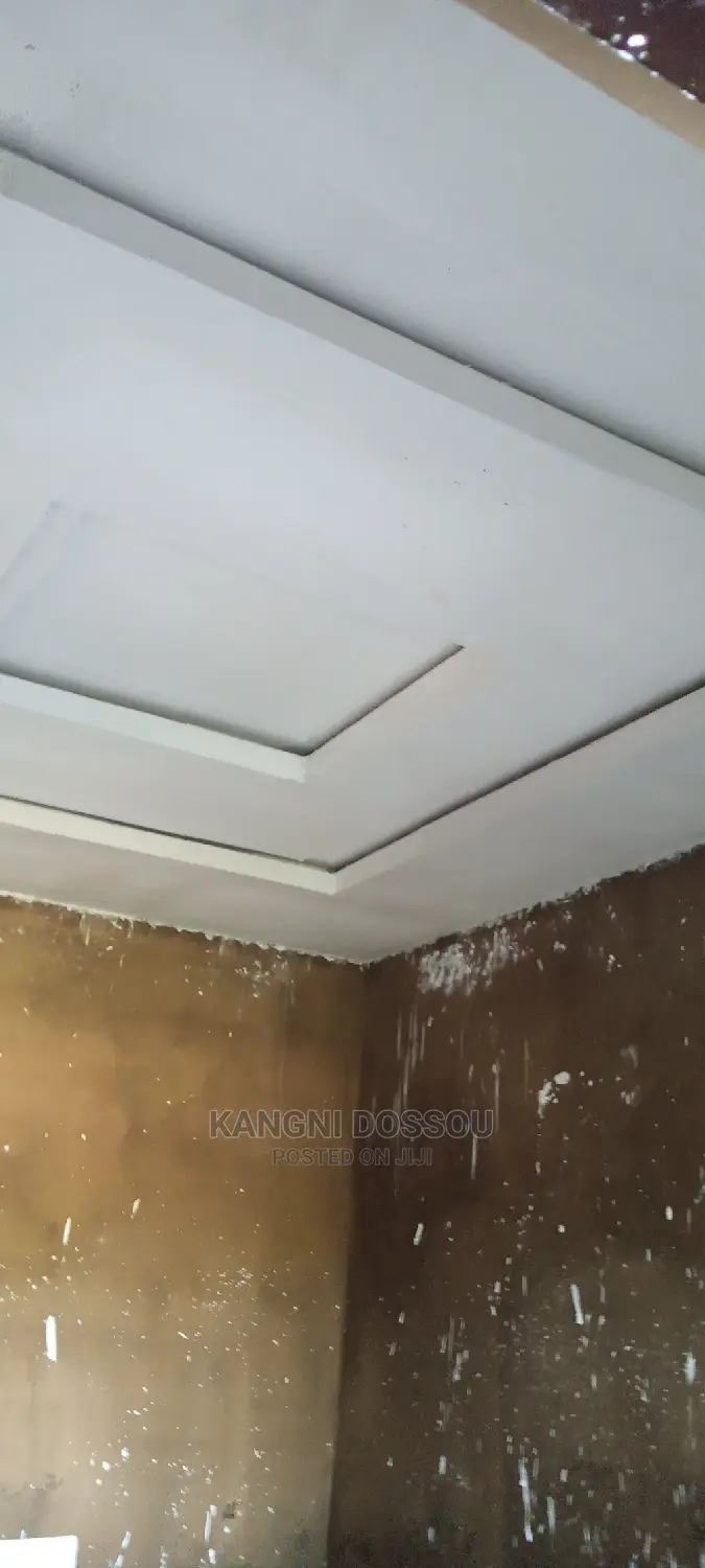 Pop Work,Art Work, Wall Screeding ,Etc