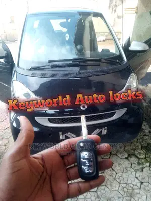 Smart W451 All Key Lost, New Key Was Cut and Programmed
