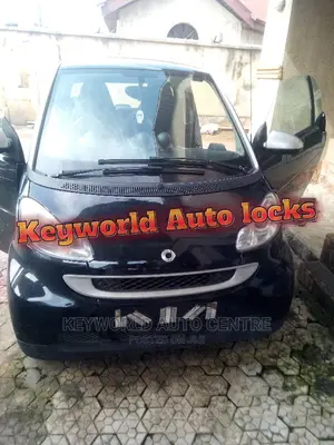 Smart W451 All Key Lost, New Key Was Cut and Programmed