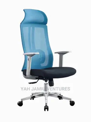 Executive Mesh Chair