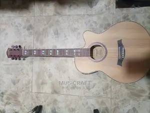 Standard Japan Big Semi-Acoustic Guitar