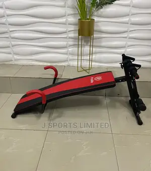 Heavy Duty Sit Up Bench With Push Up Bar and Twister