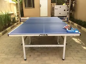 Outdoor Water Resistance Table Tennis With Accessories