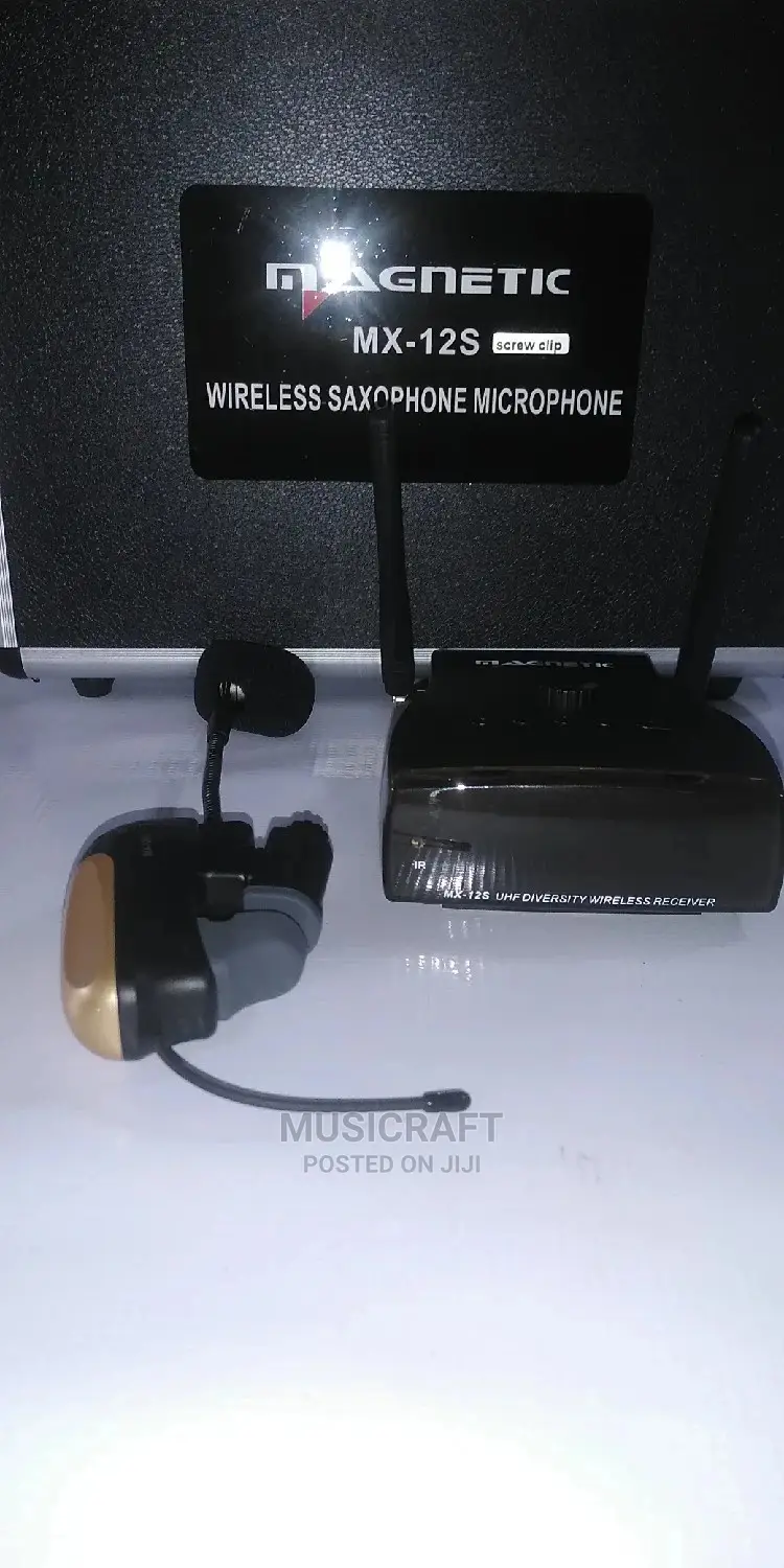 Magnetic Mx 12S Sax Mic