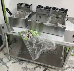 Industrial Deep Fryer Gas
