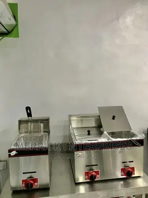 Industrial Deep Fryer 20liters