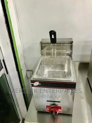Single Basket Deep Fryer