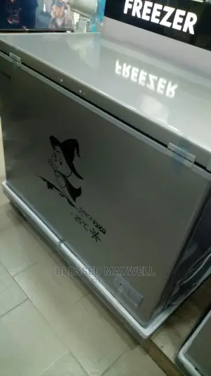Snowsea Deep Freezer