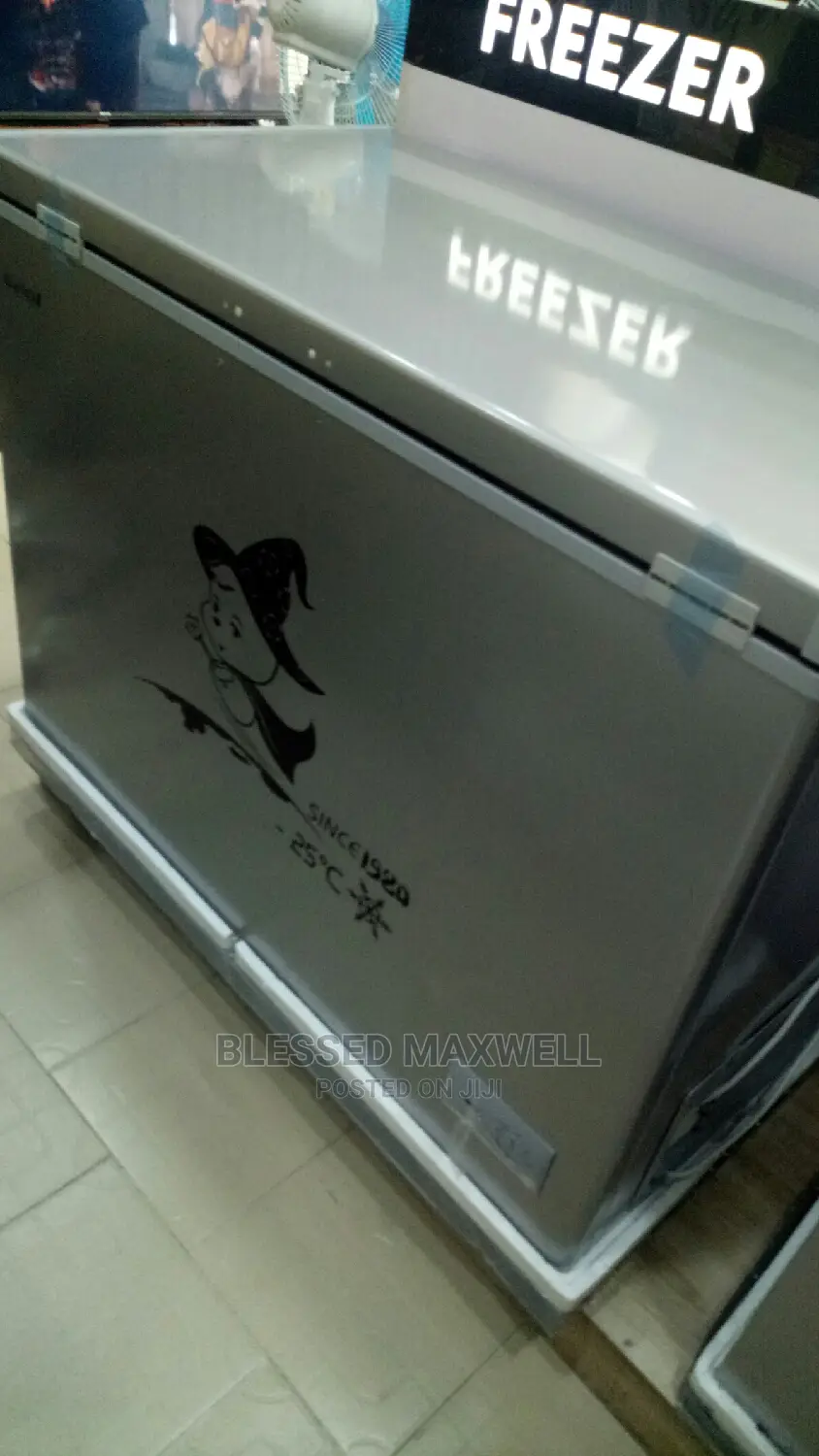 Snowsea Deep Freezer