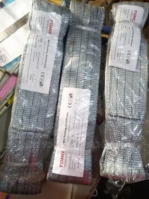 Polyester Webbing Sling/Round Sling (Lifting Belt) 4t X 2m