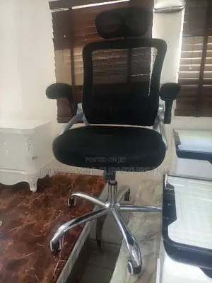 Italian Unique Executive Office Chairs