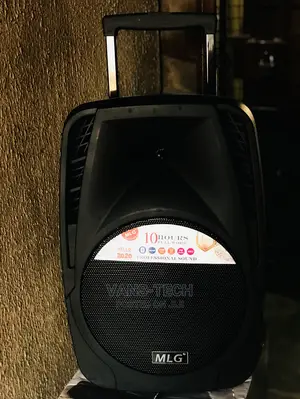 MLG 15inchs Speaker (10hours Work)