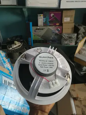 Surpass Ceiling Speakers 40W