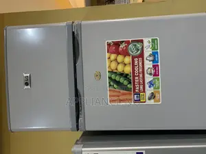LG Double Door Portable Refrigerator