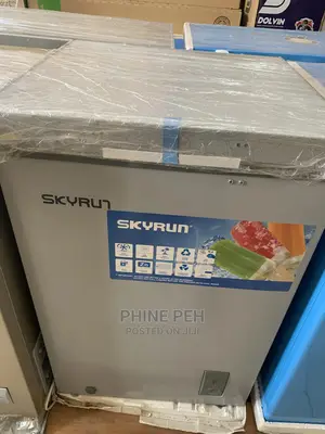 Official Store Skyrun 100-litres Chest Freezer Bd-145a Grey