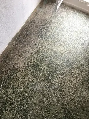 OM:Professional Cleaning With a Personal Touch