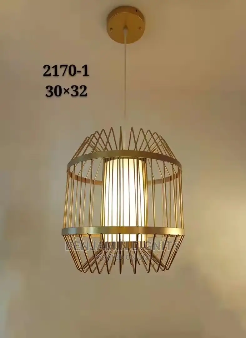 Single Dropped Pendant Lights