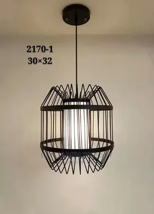 Single Dropped Pendant Lights