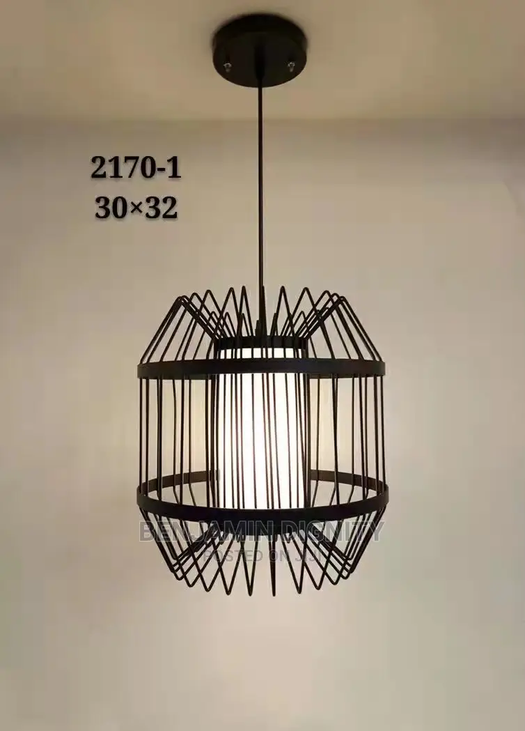 Single Dropped Pendant Lights