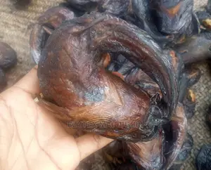 Catfish ,Round