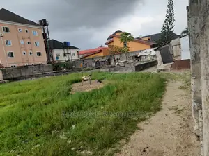 Standard Dry Plots of Land for Sale in Ago Palace Isolo