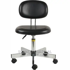 Stainless Steel Backrest Stool